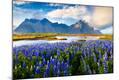 Photographic Print