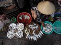 Fresh Fish at the City Market, Da Nang, Vietnam, Indochina, Southeast Asia-Andrew Mcconnell-Photographic Print