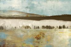 Spruce Woods-Andrew Michaels-Art Print
