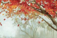 Fall Canopy II-Andrew Michaels-Art Print