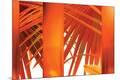 Premium Photographic Print