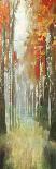 Forest Reflection-Andrew Michaels-Framed Art Print