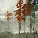 Fall Canopy II-Andrew Michaels-Art Print