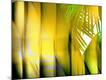 Premium Photographic Print