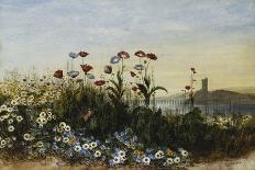 Ferry Carrig Castle, Co. Wexford, Seen Through a Bank of Wild Flowers-Andrew Nicholl-Giclee Print