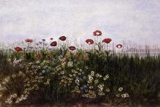 Poppies by a Stream-Andrew Nicholl-Giclee Print