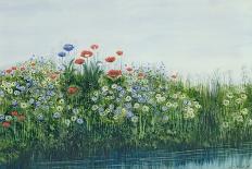 Flowers on the Irish Coast-Andrew Nicholl-Giclee Print