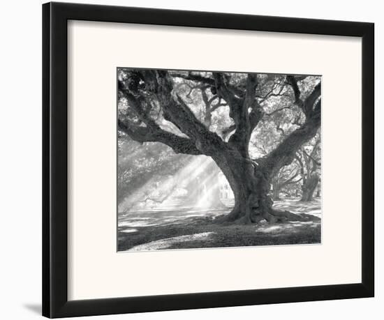 Andrew Oak, Afternoon Light-William Guion-Framed Art Print
