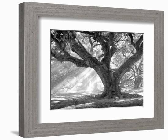 Andrew Oak, Afternoon Light-William Guion-Framed Premium Giclee Print