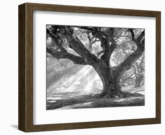 Andrew Oak, Afternoon Light-William Guion-Framed Premium Giclee Print