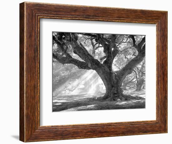Andrew Oak, Afternoon Light-William Guion-Framed Premium Giclee Print