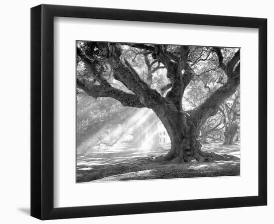 Andrew Oak, Afternoon Light-William Guion-Framed Premium Giclee Print