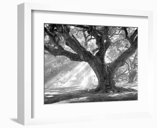 Andrew Oak, Afternoon Light-William Guion-Framed Premium Giclee Print