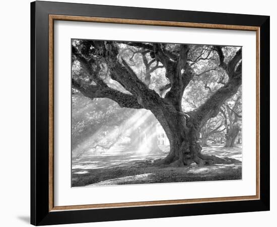 Andrew Oak, Afternoon Light-William Guion-Framed Art Print