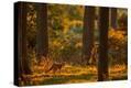 Stretched Canvas Print