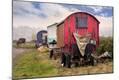 Photographic Print
