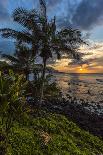 Sunset in Hanalei Bay, Kauai-Andrew Shoemaker-Photographic Print
