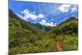 Photographic Print