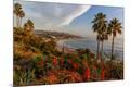 Premium Photographic Print