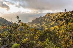 Overlooking the Kalalau Valley Right before Sunset-Andrew Shoemaker-Photographic Print