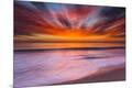 Premium Photographic Print