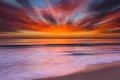 Premium Photographic Print