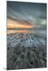 Premium Photographic Print