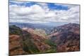 Photographic Print