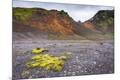 Photographic Print