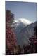 Premium Photographic Print