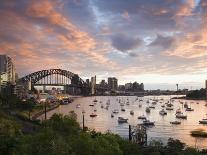 New South Wales, Lavendar Bay Toward the Habour Bridge and the Skyline of Central Sydney, Australia-Andrew Watson-Photographic Print