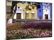 Photographic Print