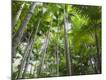 Premium Photographic Print