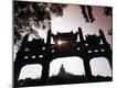 Premium Photographic Print