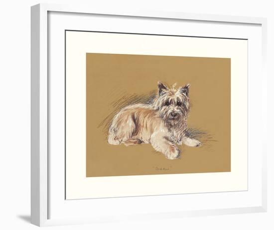 Andrew-Mac-Framed Premium Giclee Print