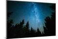 Photographic Print