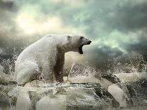 White Polar Bear Hunter on the Ice in Water Drops.-Andrey Yurlov-Photographic Print
