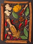 Still Life with Spices and Herbs in the Frame-Andrii Gorulko-Framed Premier Image Canvas