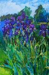 Irises-Andrii Kutsachenko-Premier Image Canvas