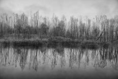 Autumn Morning and Fog on the River, the Autumn Season-Andriy Solovyov-Framed Photographic Print