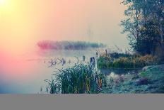 Autumn Morning and Fog on the River, the Autumn Season-Andriy Solovyov-Premier Image Canvas