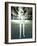 Android Robot, Artwork-Carl Goodman-Framed Photographic Print