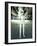 Android Robot, Artwork-Carl Goodman-Framed Photographic Print