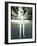 Android Robot, Artwork-Carl Goodman-Framed Photographic Print