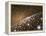 Andromeda Galaxy Core Stars, Artwork-null-Framed Premier Image Canvas