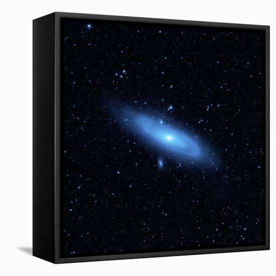 Andromeda Galaxy's Older Stellar Population in Blue-null-Framed Premier Image Canvas