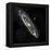 Andromeda Galaxy, UV Image-null-Framed Premier Image Canvas