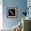 Andromeda Galaxy, UV Image-null-Framed Premium Photographic Print displayed on a wall