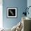 Andromeda Galaxy, UV Image-null-Framed Premium Photographic Print displayed on a wall