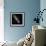 Andromeda Galaxy, UV Image-null-Framed Premium Photographic Print displayed on a wall